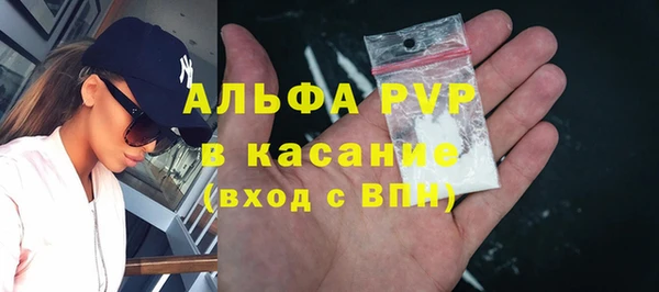 стафф Богданович