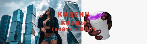 стафф Богданович