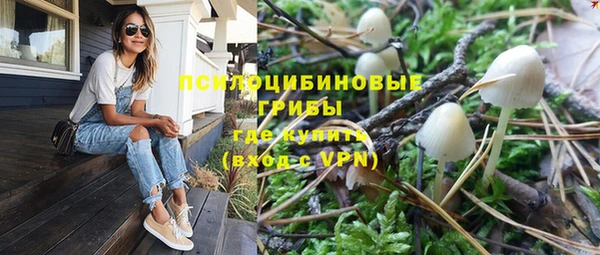 стафф Богданович